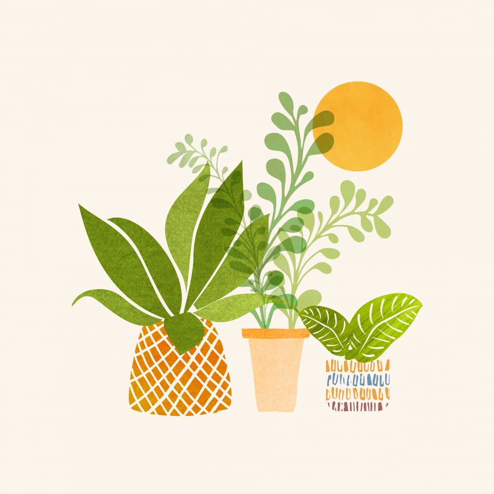 Plant Group 3 by Kristian Gallagher — canvas wall art