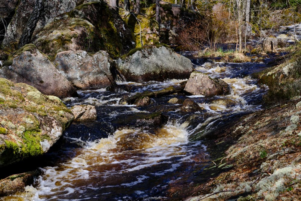Rocky Forest River by Geertjan Plooijer — canvas wall art