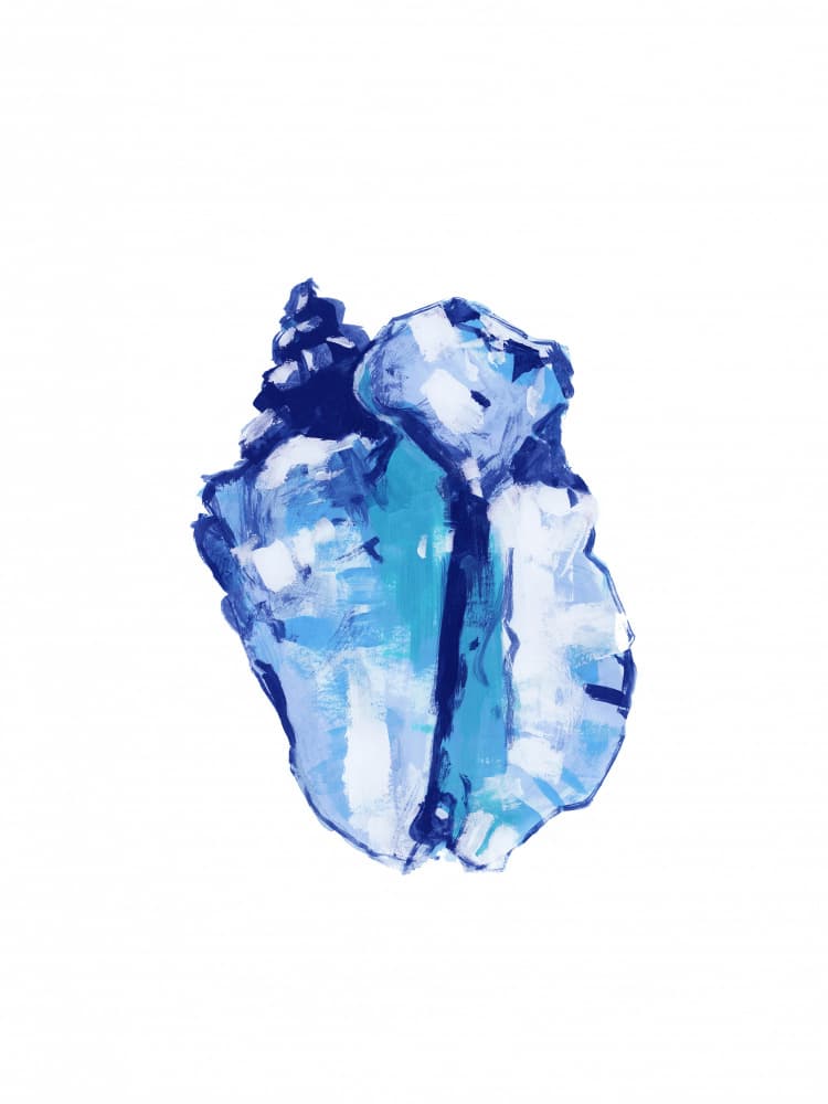 Abstract Blue Conch by cartissi — canvas wall art
