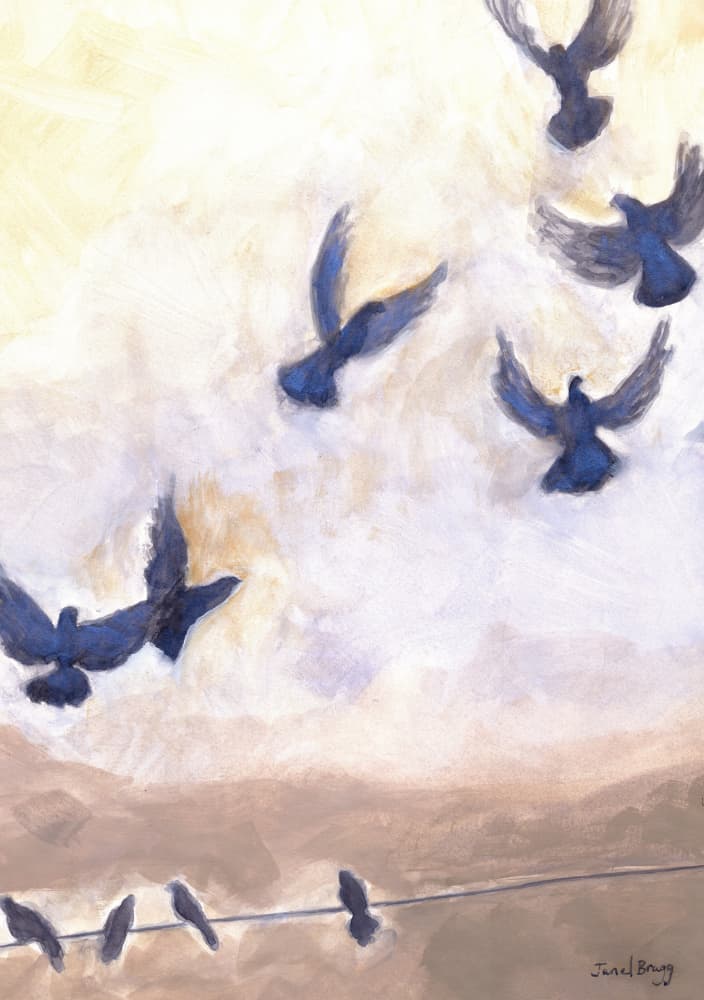 Birds Flying Free by Janel Bragg — canvas wall art