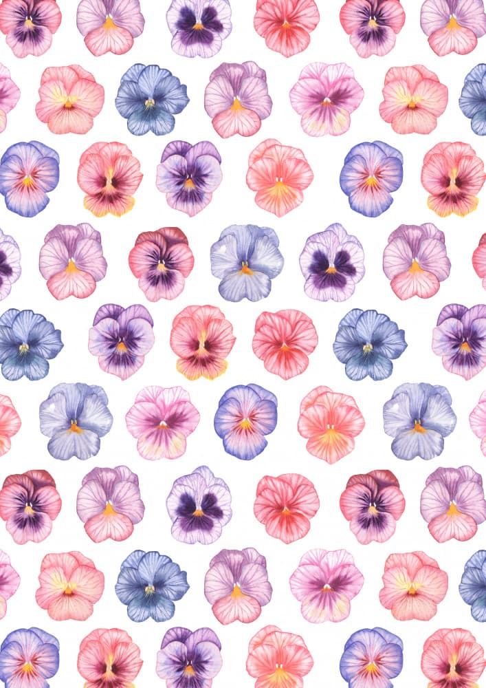 Watercolor Pansy Garden by Linda Sitniece — canvas wall art