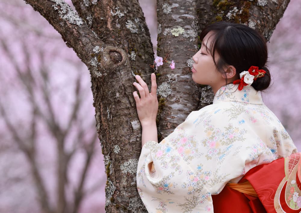 Sakura Kimono Serenity by Tsutomu Sakamoto — canvas wall art