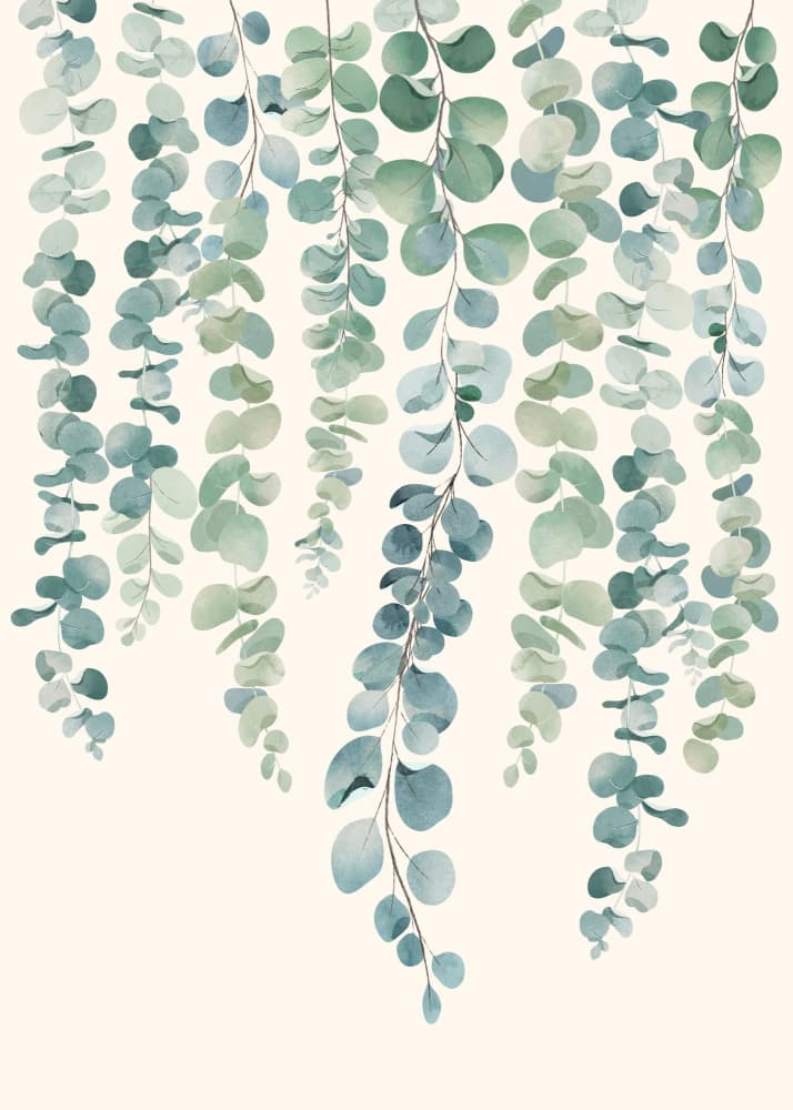 Cascading Eucalyptus Leaves by Nadjaa — canvas wall art