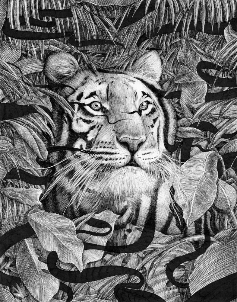 Majestic Jungle Tiger by EC Mazur — canvas wall art