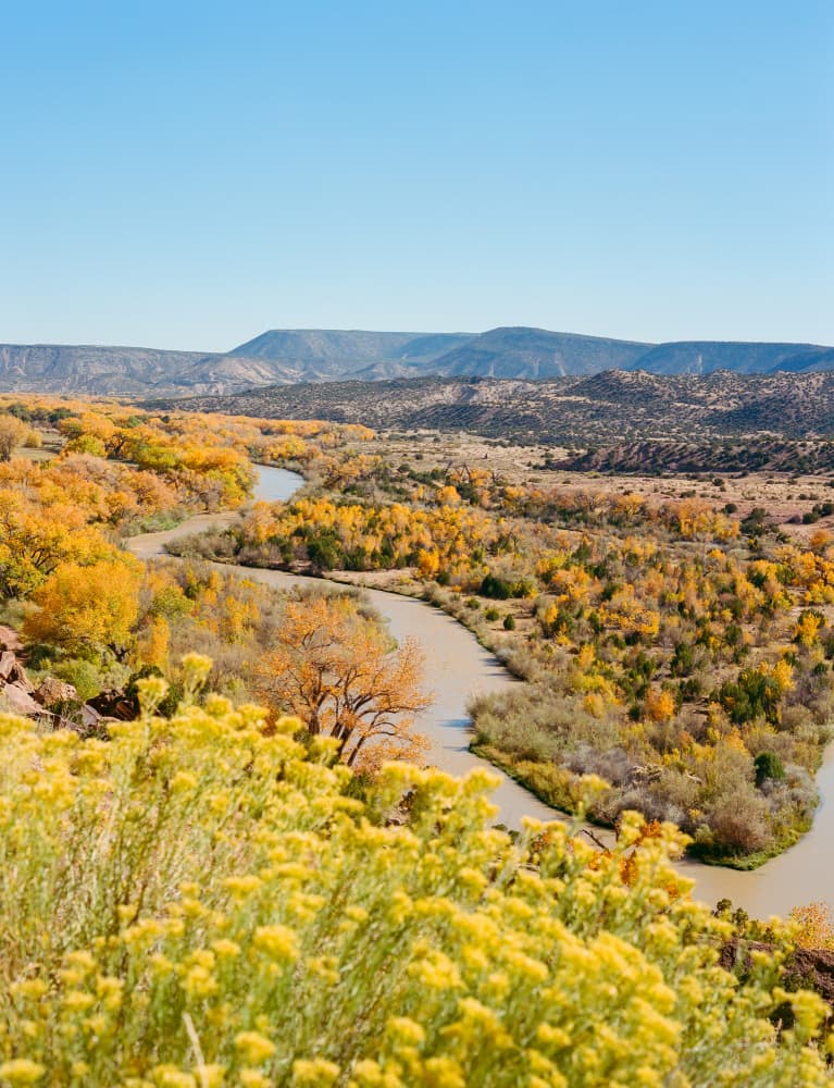 Golden River Valley by Bethany Young — canvas wall art