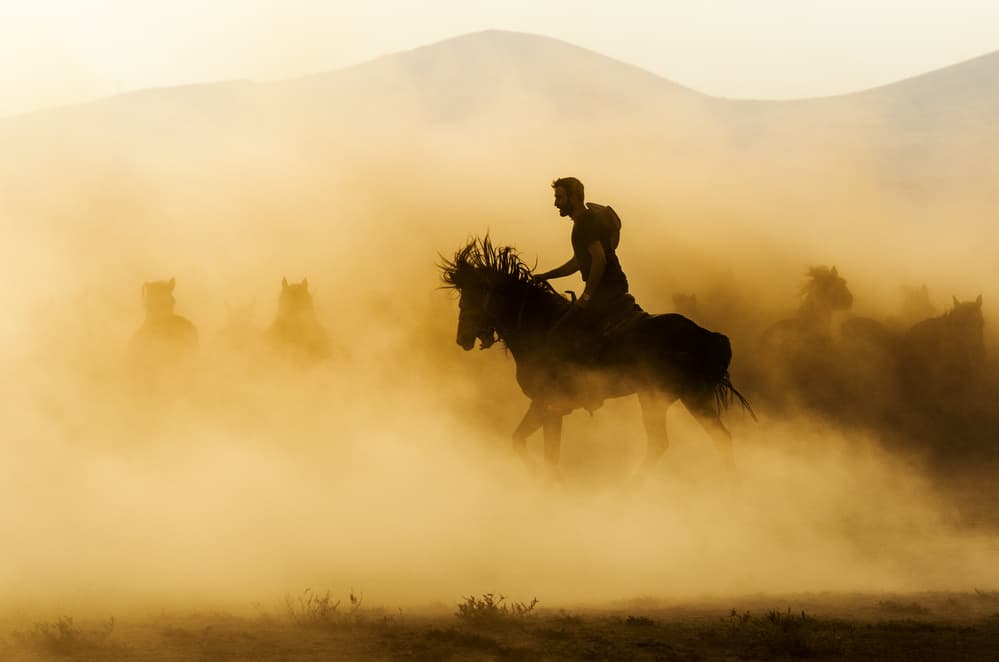 Golden Dust Gallop by Emir Bagci — canvas wall art