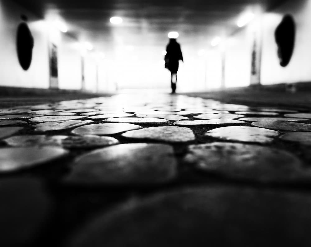 Solitary Walk Ahead by Mirela Momanu — canvas wall art