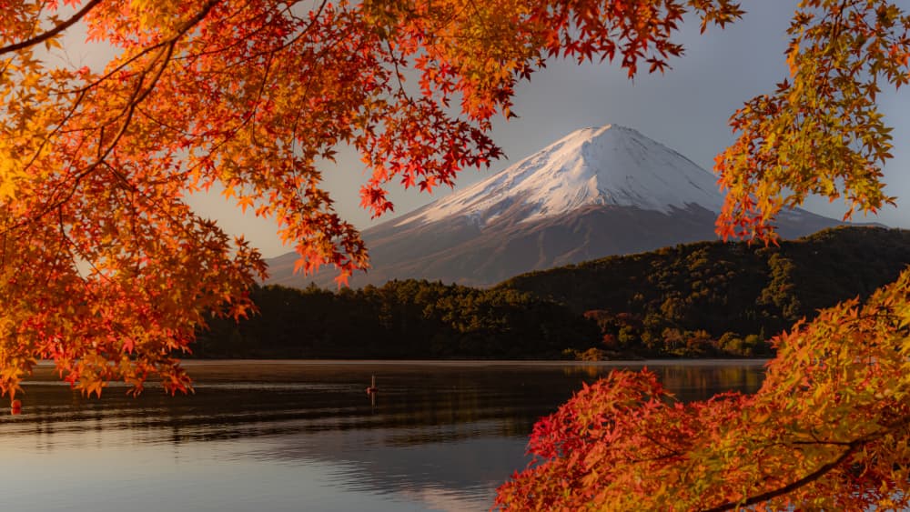 Autumn Mount Fuji Lake by Haruma Okubo — canvas wall art