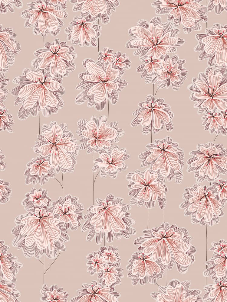 Delicate Pink Blooms by Annick — canvas wall art