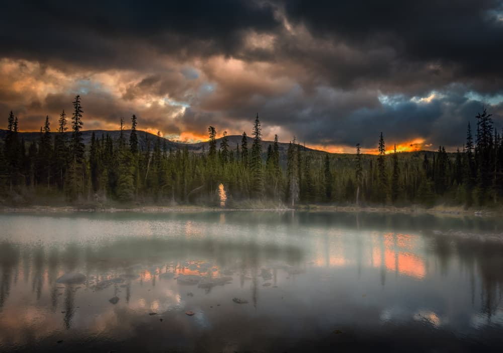 Misty Forest Sunset by Bing Li — canvas wall art