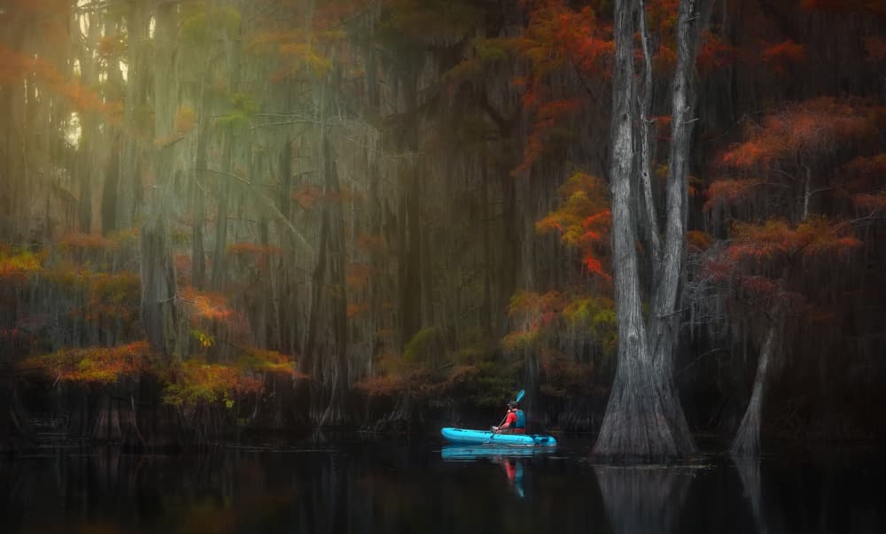 Kayaker Misty Autumn Swamp by Catherine Wang — canvas wall art