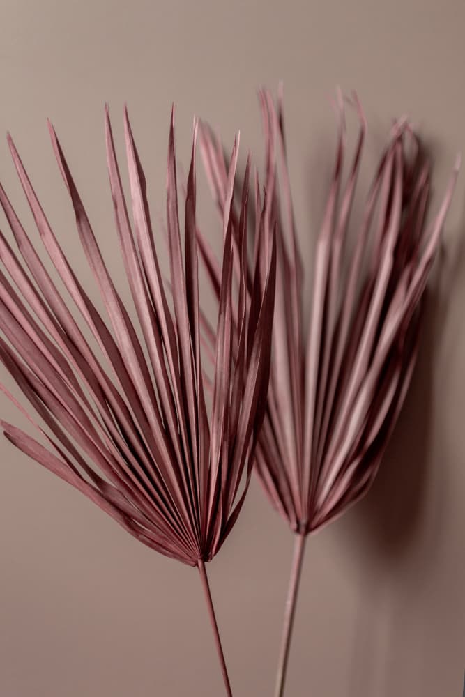 Last Summer 26 by Mareike Böhmer — canvas wall art