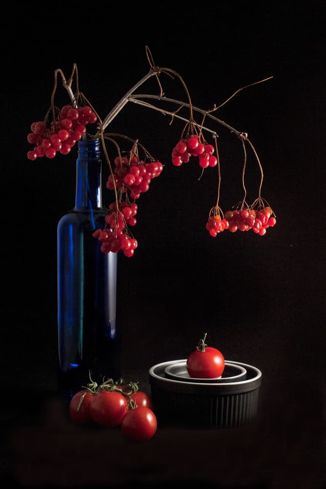 Red Berries Blue Bottle by David Rothstein — canvas wall art