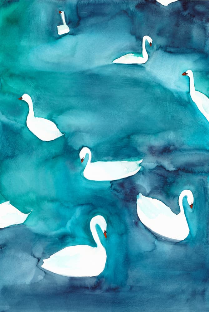 Graceful Swans on Water by Christine Lindstrom — canvas wall art