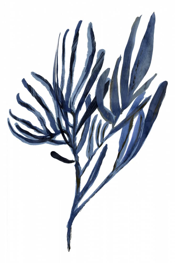 Indigo Botanical Branches by cartissi — canvas wall art