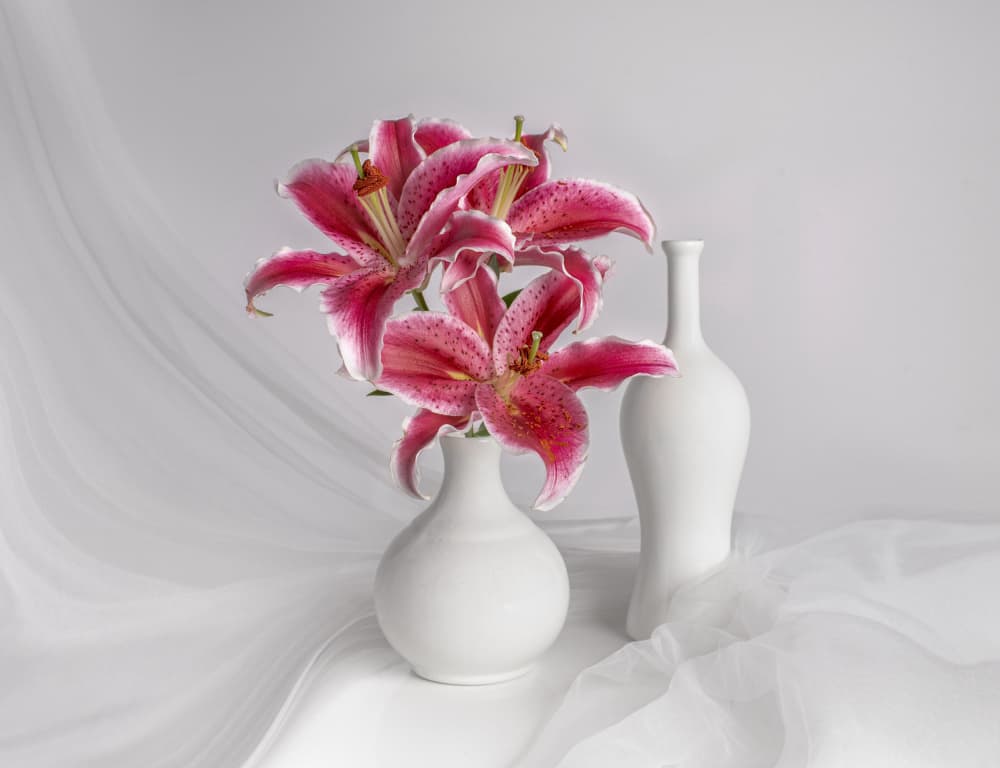 Pink Lilies White Vases by Margareth Perfoncio — canvas wall art