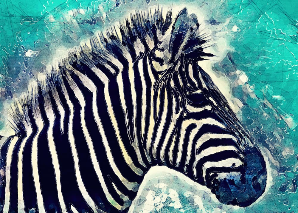 Vibrant Zebra Profile by Justyna Jaszke — canvas wall art