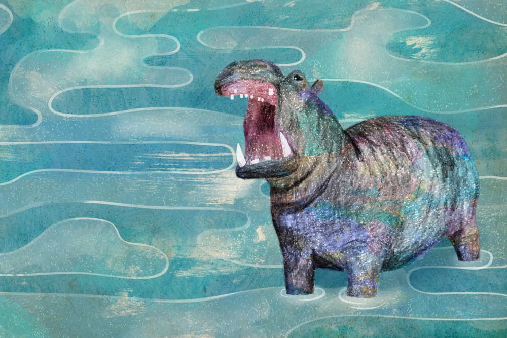Hippo's Big Yawn by Martina Scott — canvas wall art