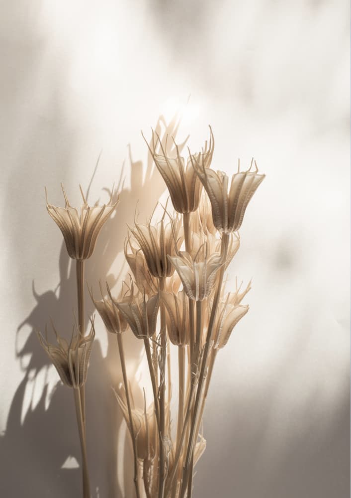 Untitled by Mareike Böhmer — canvas wall art