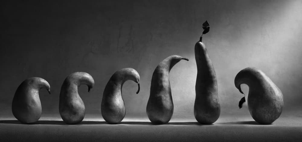 Evolving Pear Shapes by Victoria  Glinka — canvas wall art