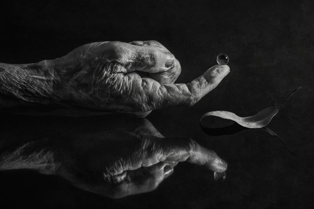Still a drop of life by Stephen Clough — canvas wall art