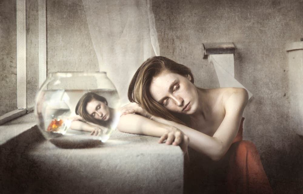 Dreaming with Goldfish Reflection by Sebastian Kisworo — canvas wall art