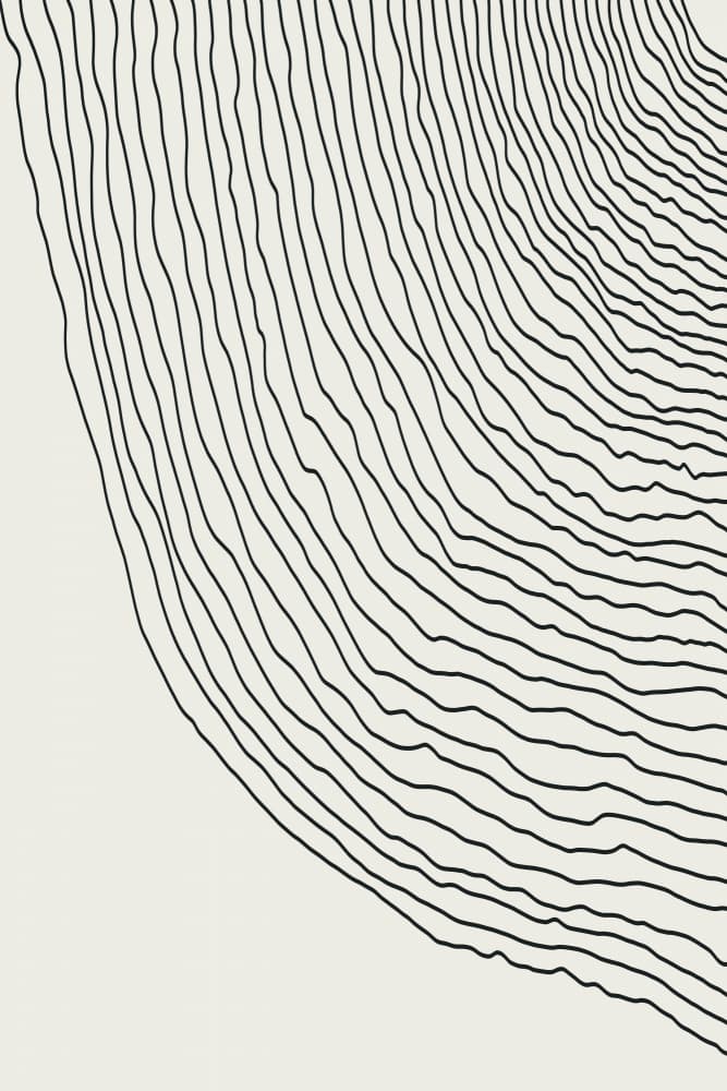 Organic Flowing Lines by jay stanley — canvas wall art