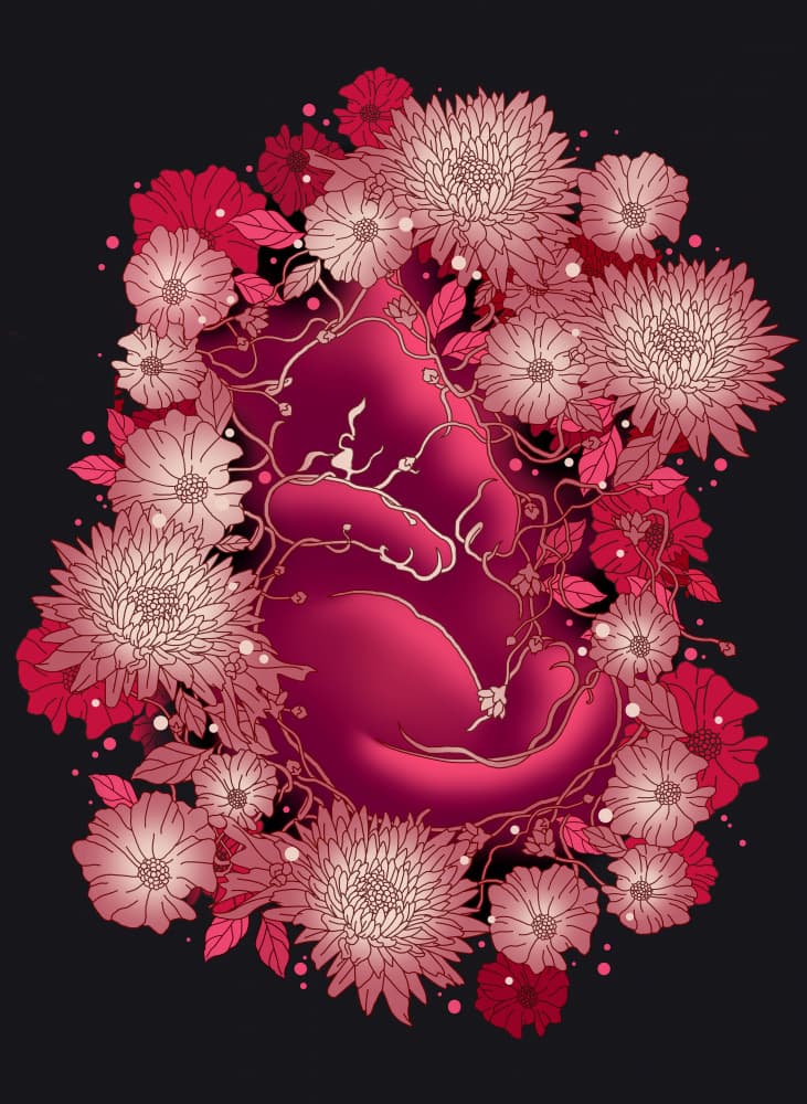 Pink Floral Slumber by Adam Lawless — canvas wall art