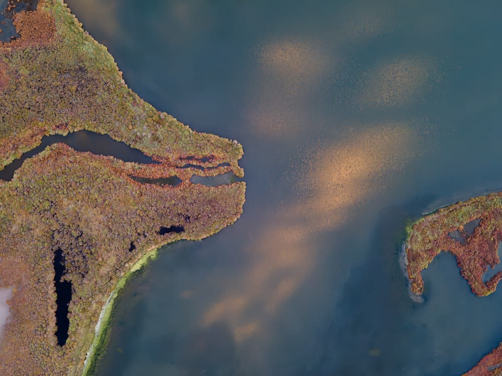 Golden Marshland Aerial by Anna Kirchner — canvas wall art