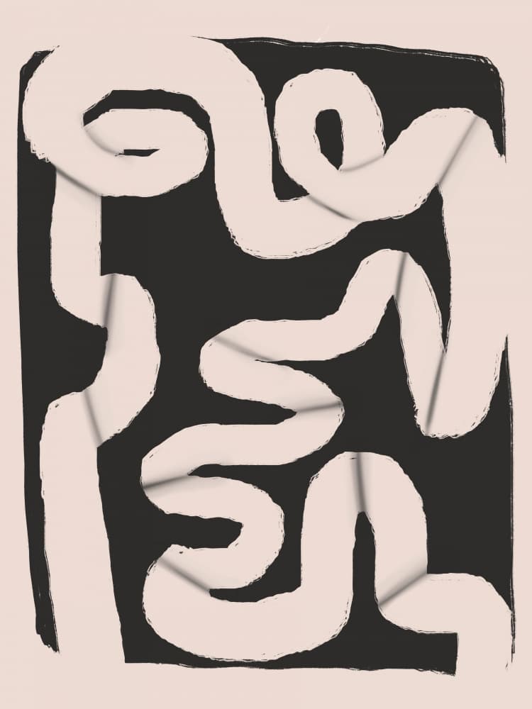 Minimalist Flowing Forms by Little Dean — canvas wall art