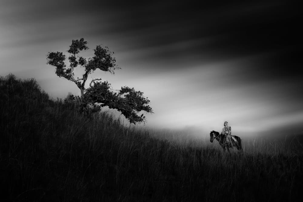 Solitary Rider Long Exposure by Chao Feng 天馬 — canvas wall art