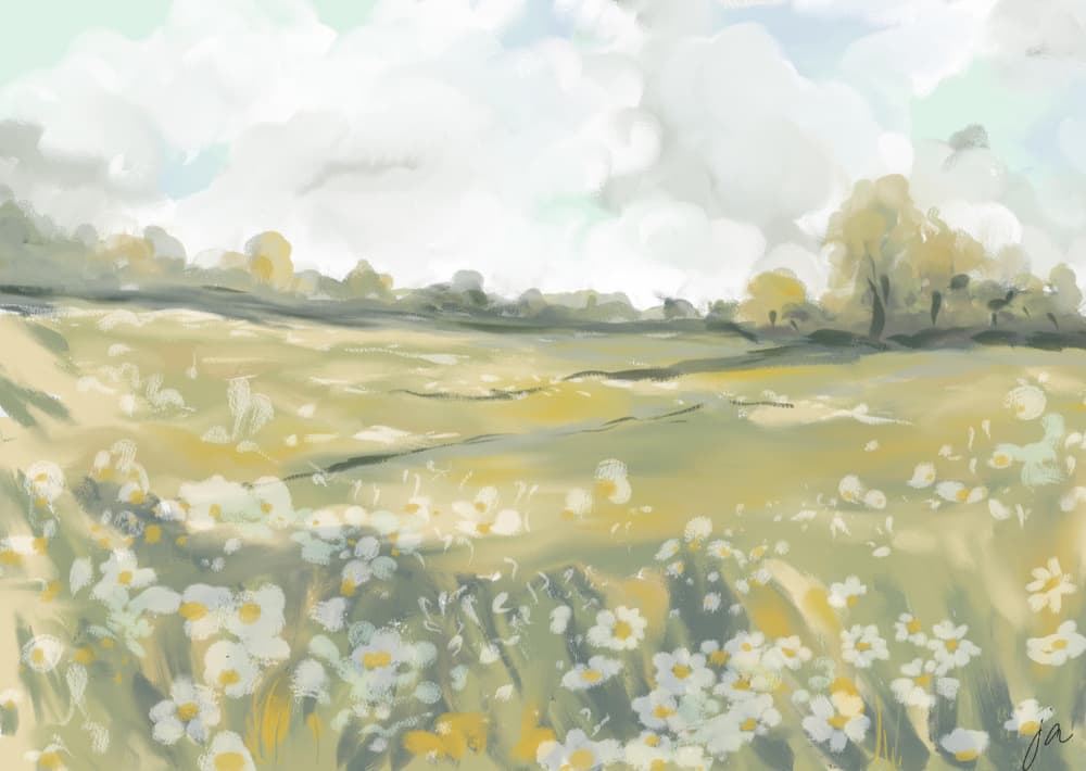 Serene Daisy Meadow