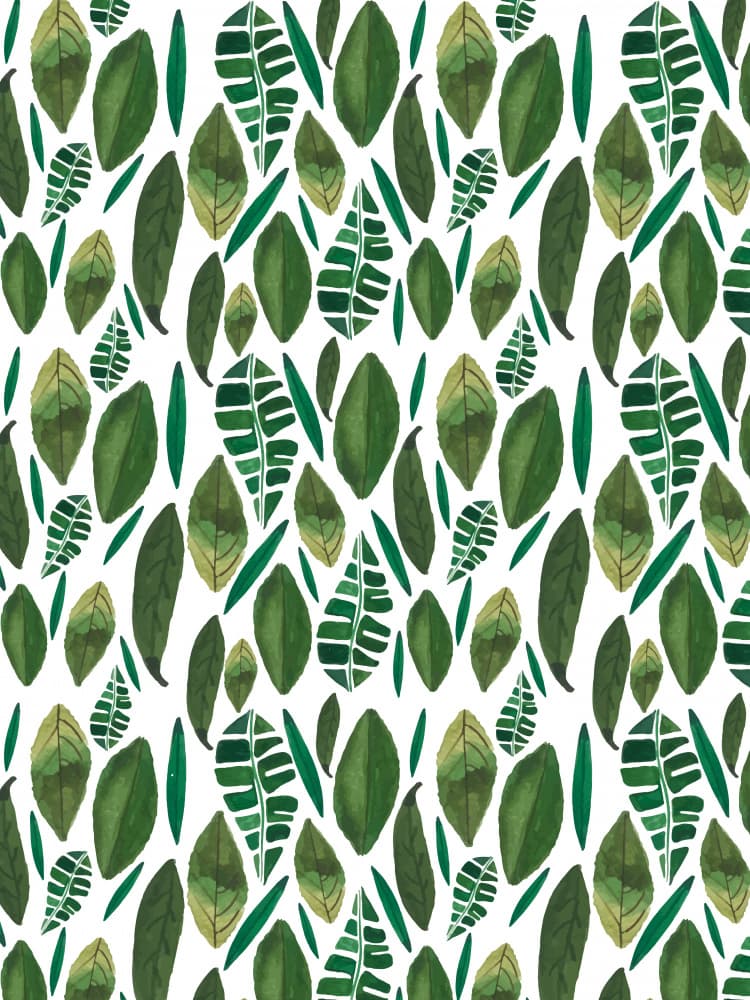 Jungle by Elizabeth C — canvas wall art