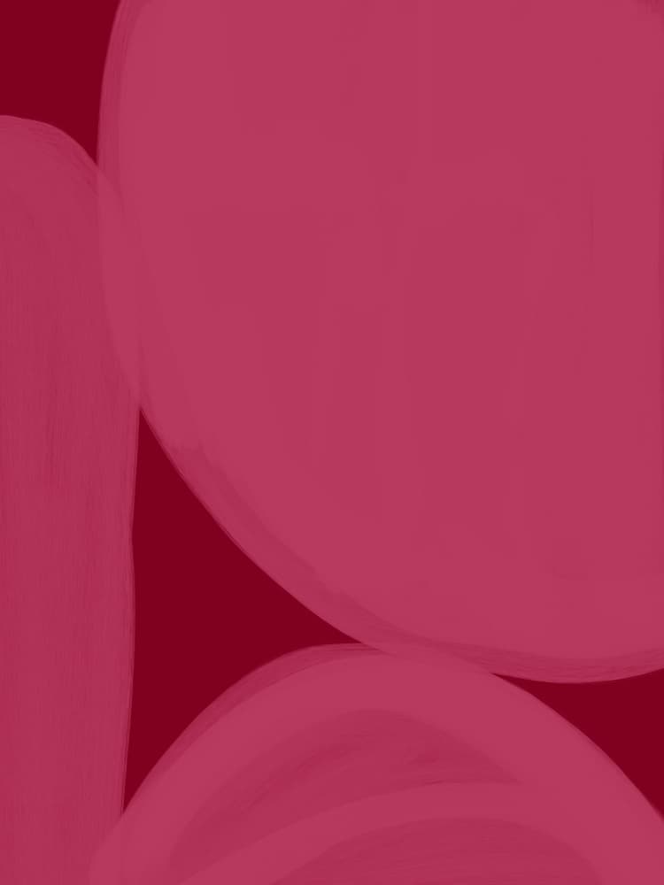 Pink Fluid Shapes by Studio Palette — canvas wall art