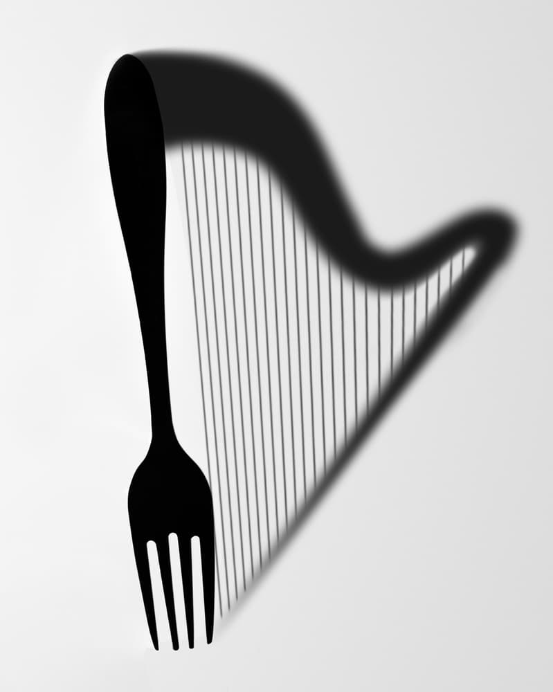 Fork Harp Shadow Illusion by Naoki Matsumura — canvas wall art