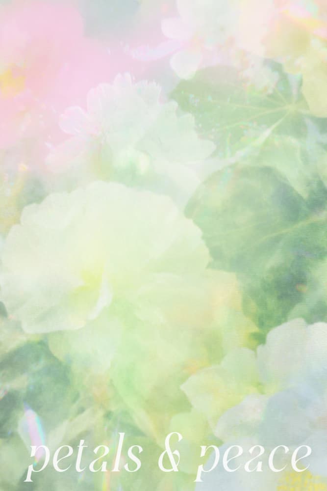 Softspokenno09 by Treechild — canvas wall art