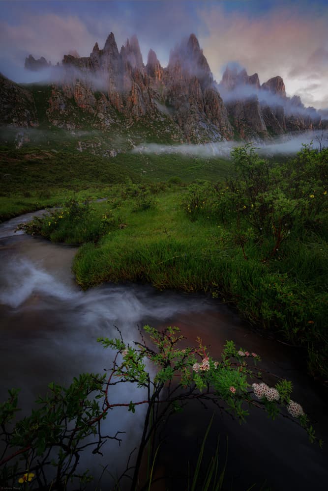 Misty Mountain Valley by Johnny Zhang — canvas wall art