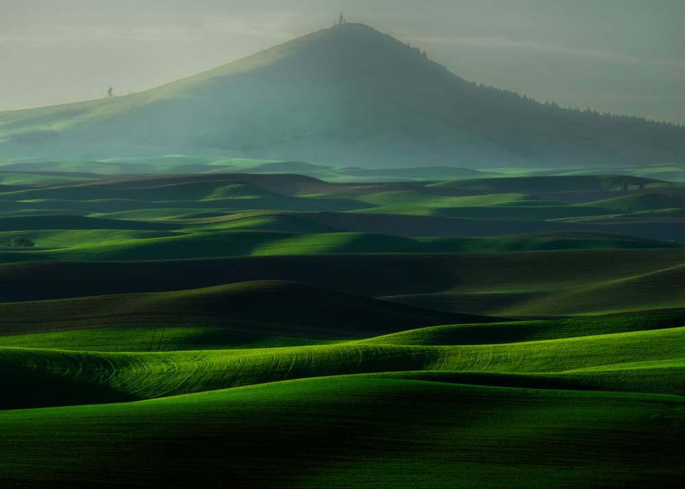 Misty Green Rolling Hills by Ken Liang — canvas wall art
