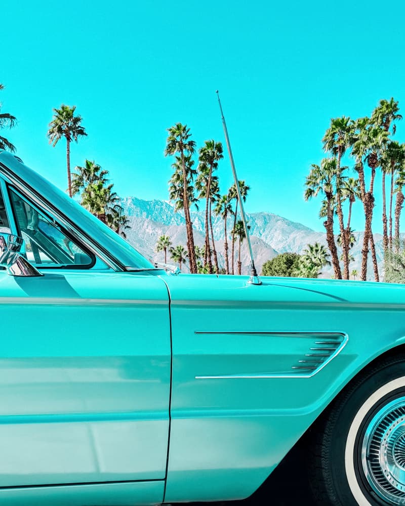 Teal Thunderbird in Palm Springs by Tom Windeknecht — canvas wall art