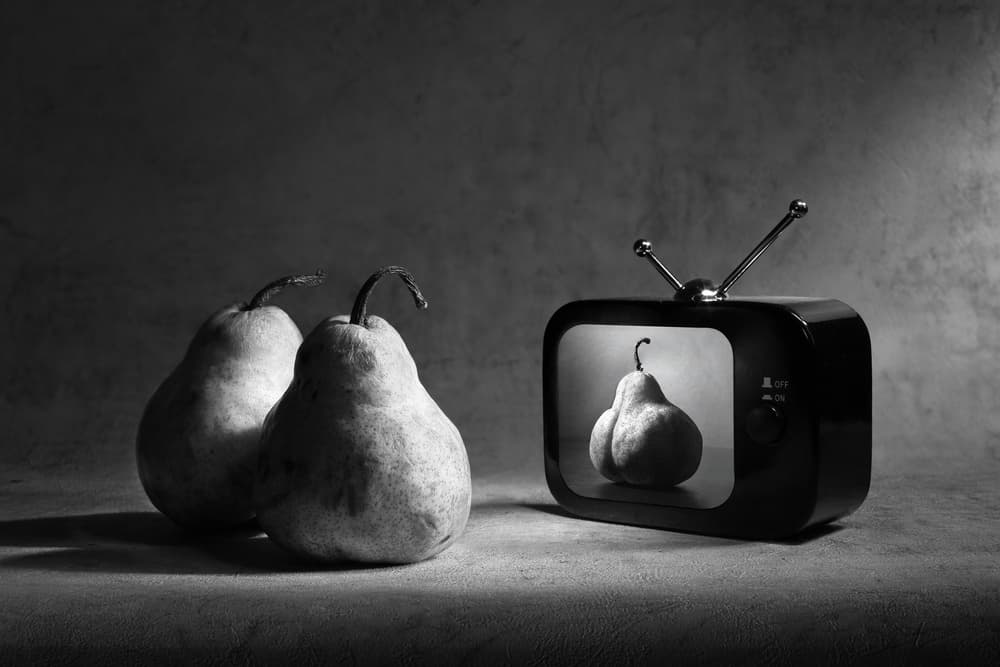 Still Life Broadcast by Victoria  Glinka — canvas wall art