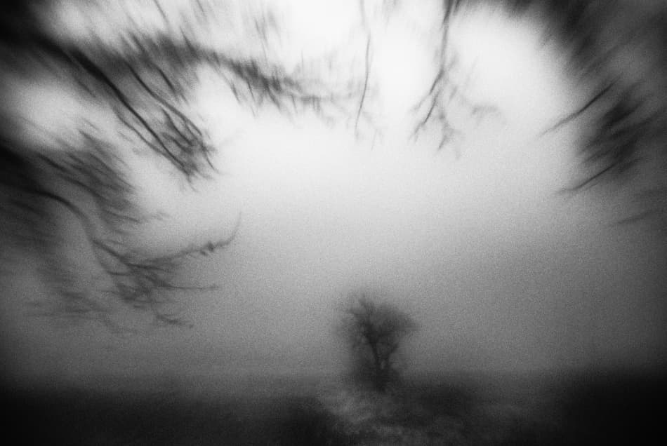 Misty Lone Tree by Codrin Lupei — canvas wall art