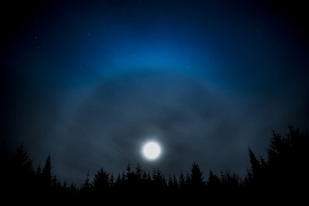 Moon Halo Over Forest by Zoltan Tot — canvas wall art