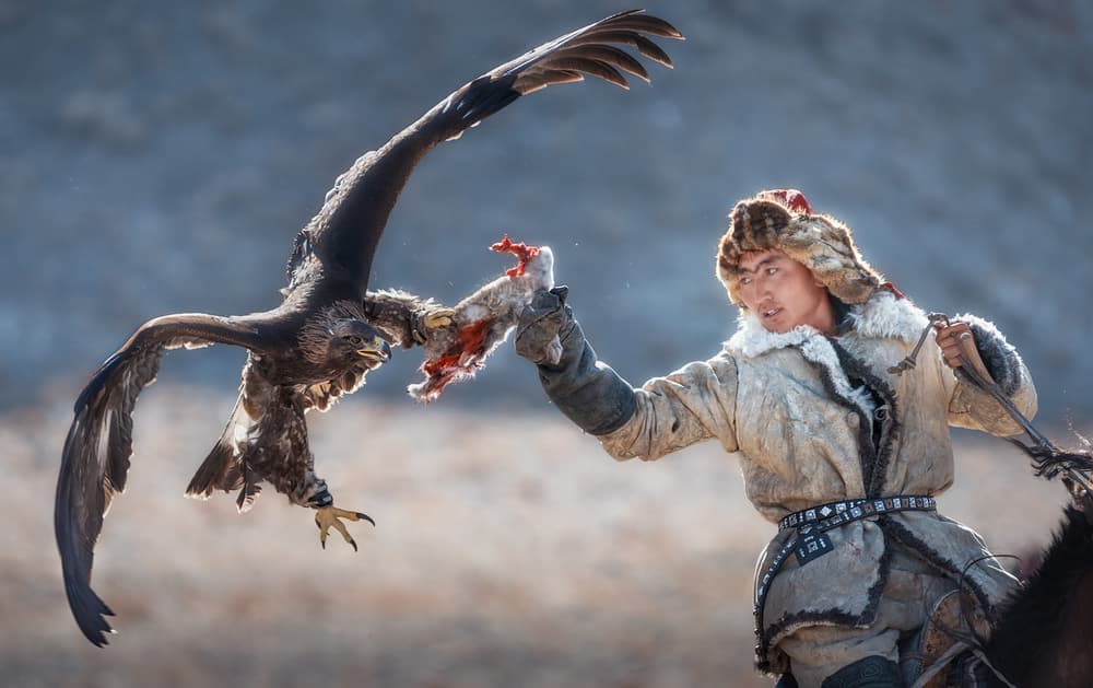 Golden Eagle Hunter by Alexandr Kukrinov — canvas wall art