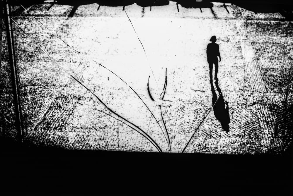 Lone Walker by Paulo Abrantes — canvas wall art