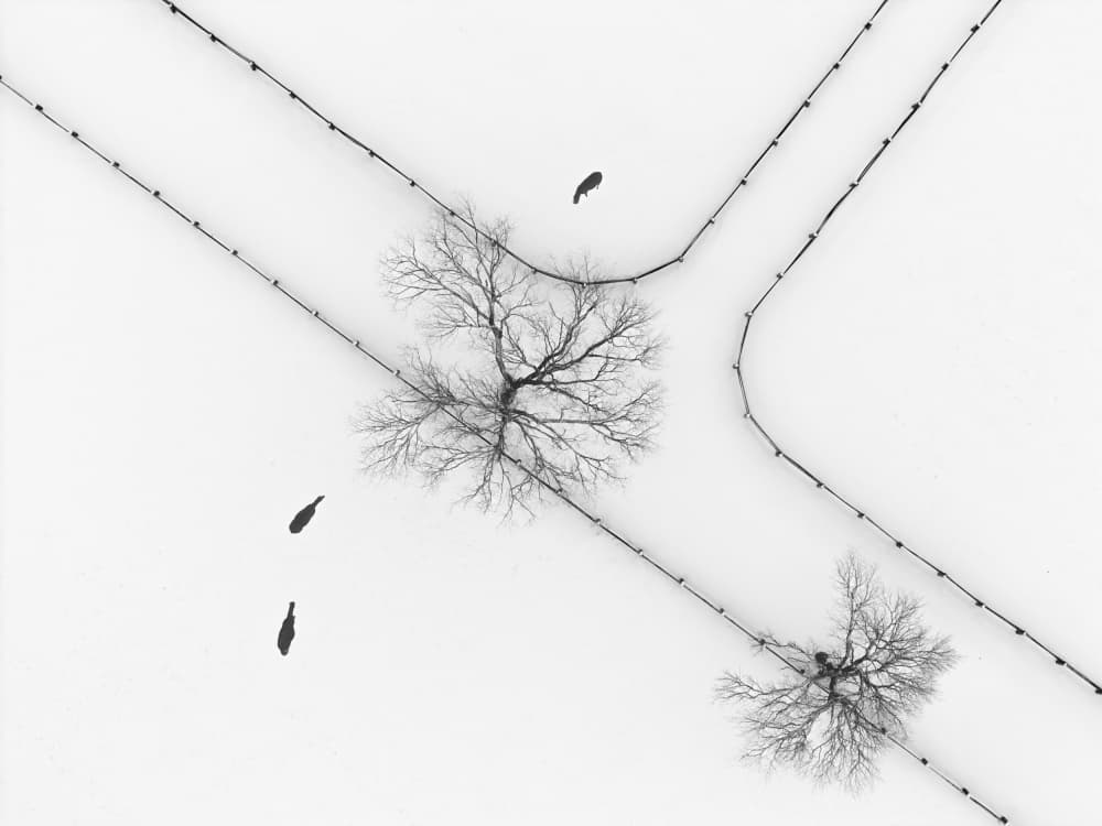 Farm land in winter by Larry Deng APA — canvas wall art