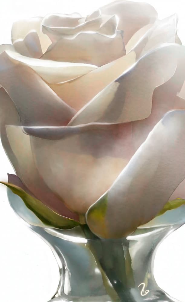Elegant White Rose by Ruth Day — canvas wall art