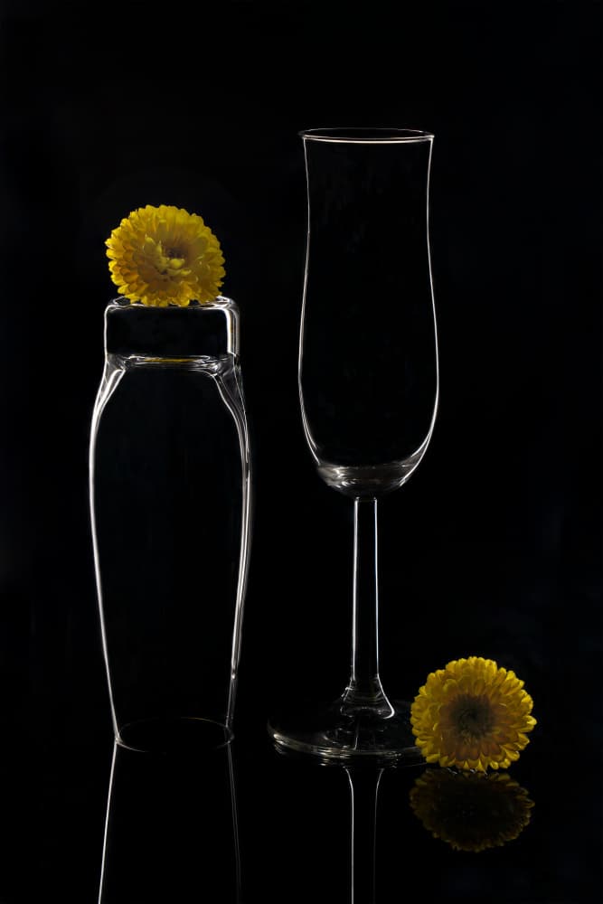 Bright Blooms Dark Glass by jenny j rao — canvas wall art
