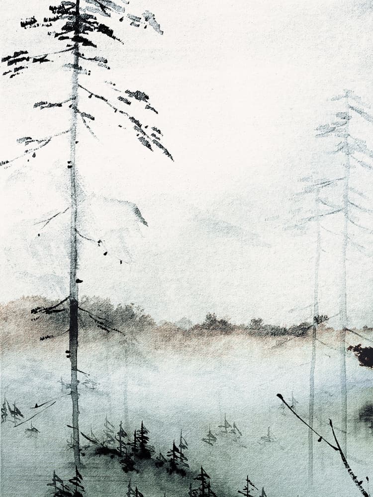 Misty Forest Calm by Treechild — canvas wall art