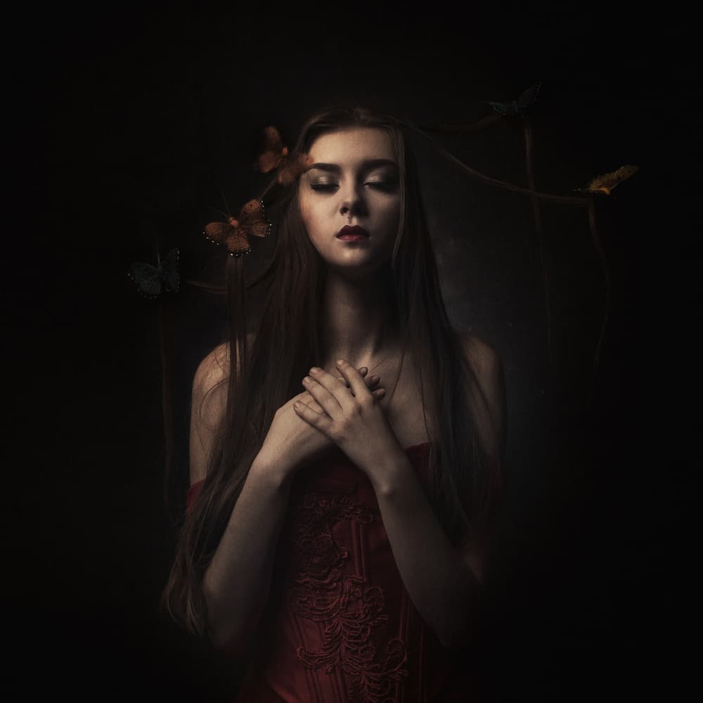 Ethereal Butterfly Dreams by hardibudi — canvas wall art