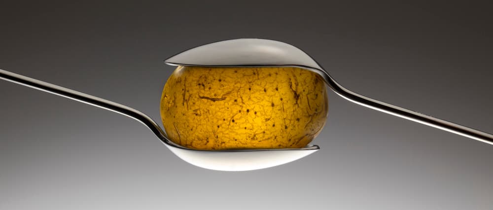 Spoons and Golden Fruit by Wieteke de Kogel — canvas wall art